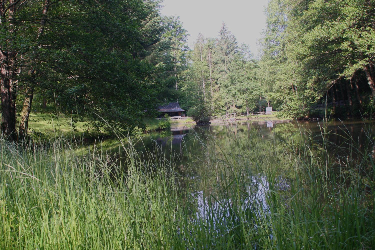 Zur Morschbach